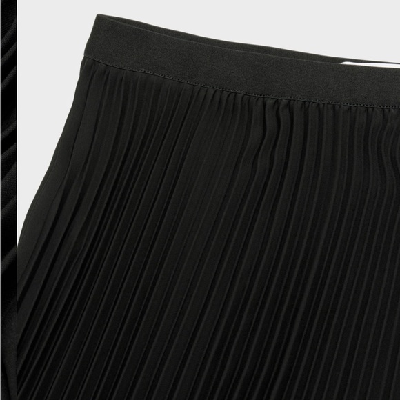 Aritzia Black Pleated Skirt - Picture 3 of 3